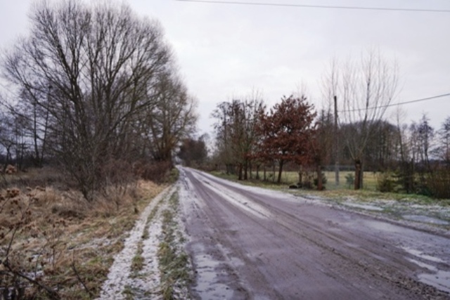 DSC03166
